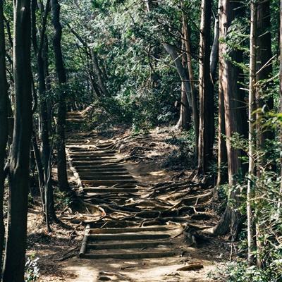 三国杀滑稽版最新版下载