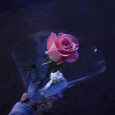 wf虚空境app下载